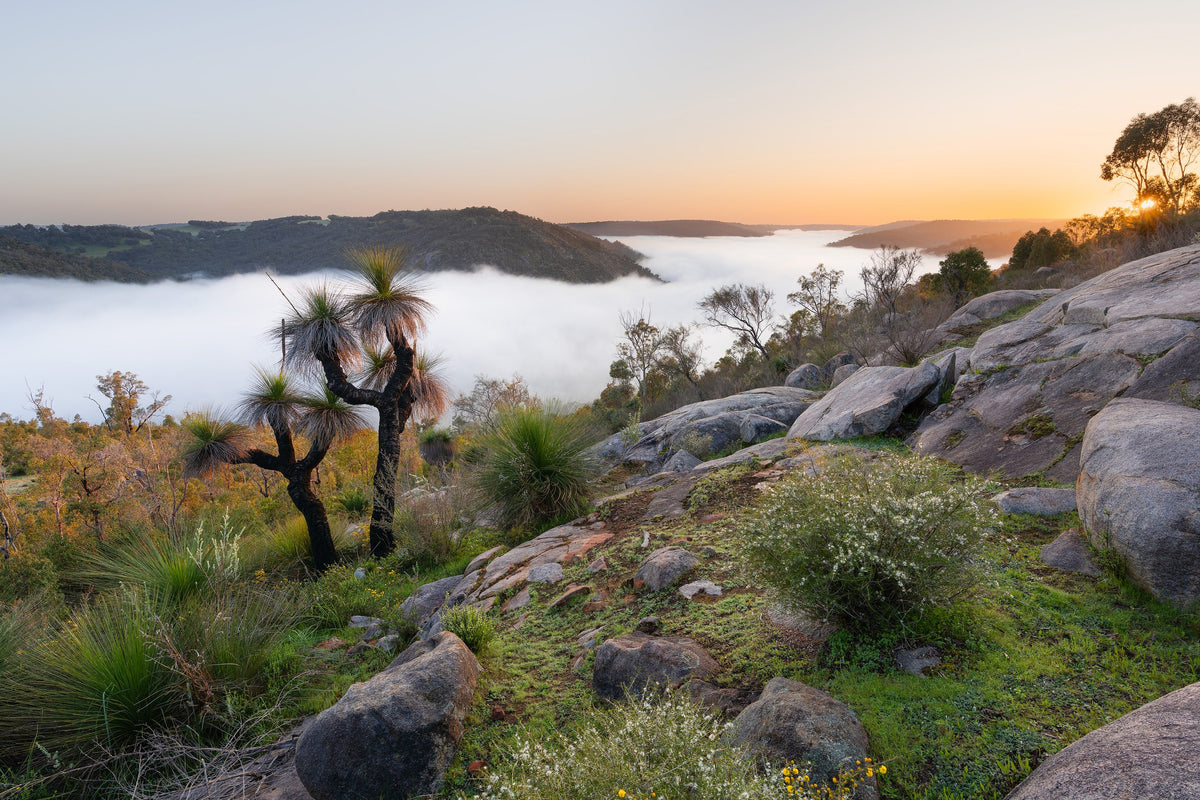 Granitfelsen im warmen Abendlicht bei Gidgegannup, Westaustralien