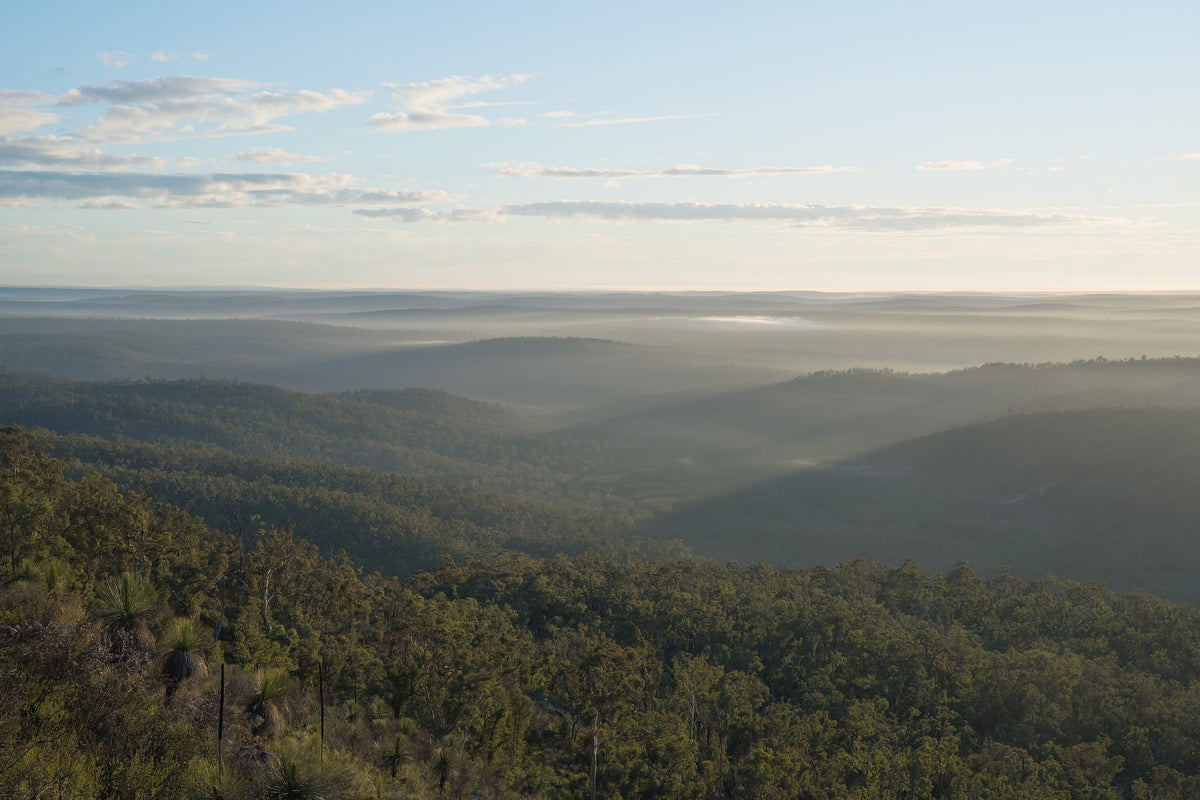 Grüne, bewaldete Hügel bei Jarrahdale unter bewölktem Himmel, Westaustralien