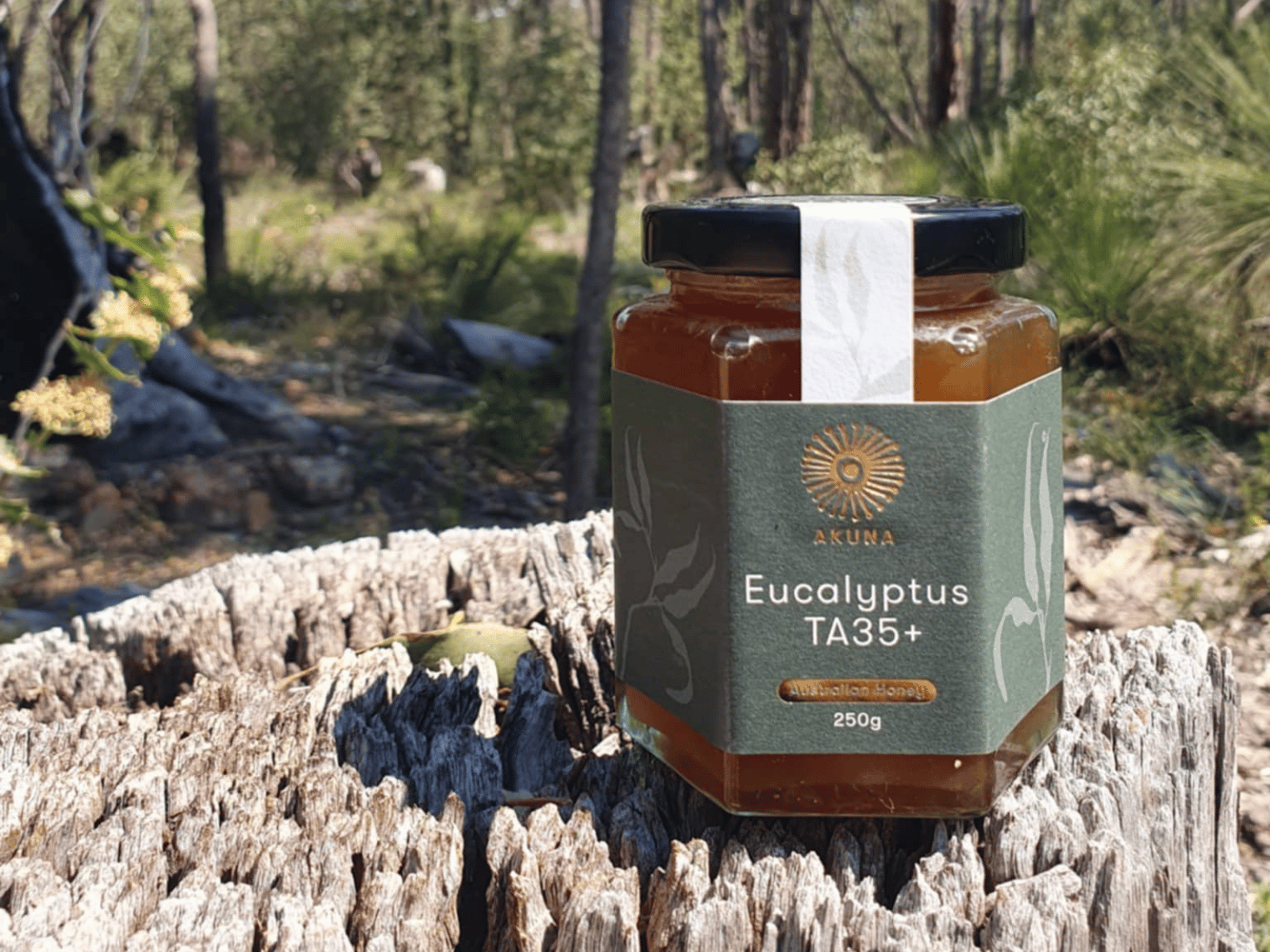 AKUNA Eucalyptus TA35+ Honig 250g — Glas im Eukalyptuswald, Westaustralien