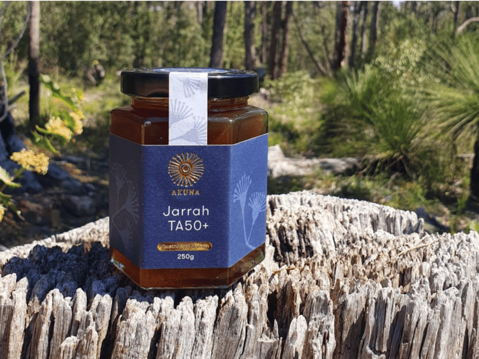 AKUNA Jarrah TA50+ Honig 250g — Glas im Jarrah Forest, Westaustralien